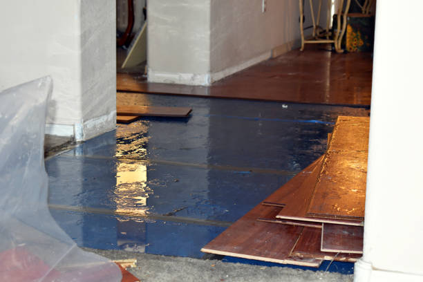 Professional Flood Damage Repair technician working in Westwood, MA